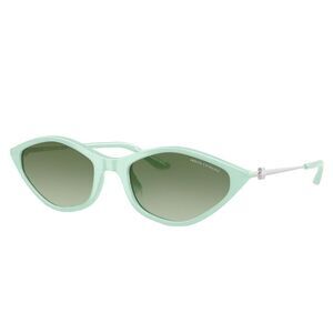 Armani Exchange AX 4152SU Plastic Irregular Sunglasses